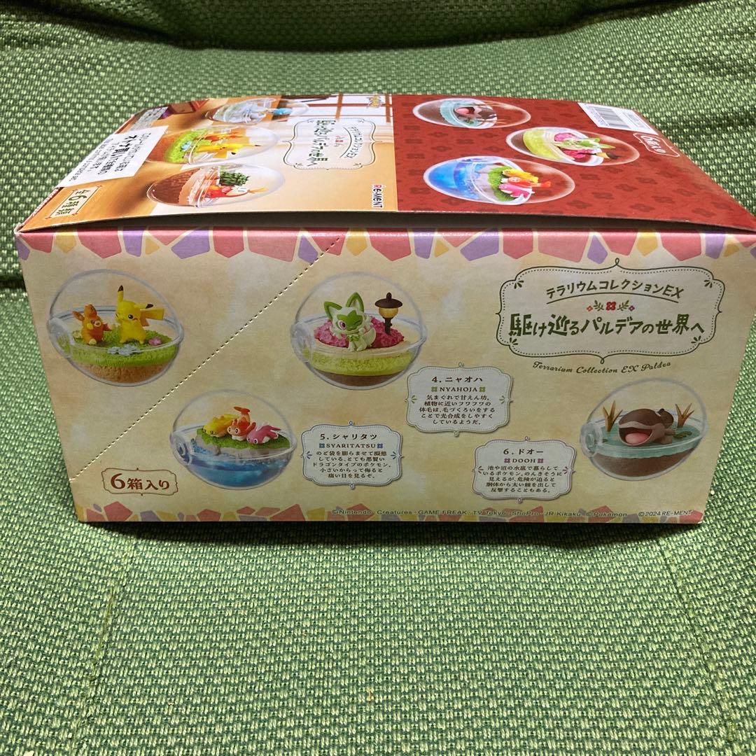 最終価格ポケモン テラリウムコレクション2種セット+アクリルキーホルダー