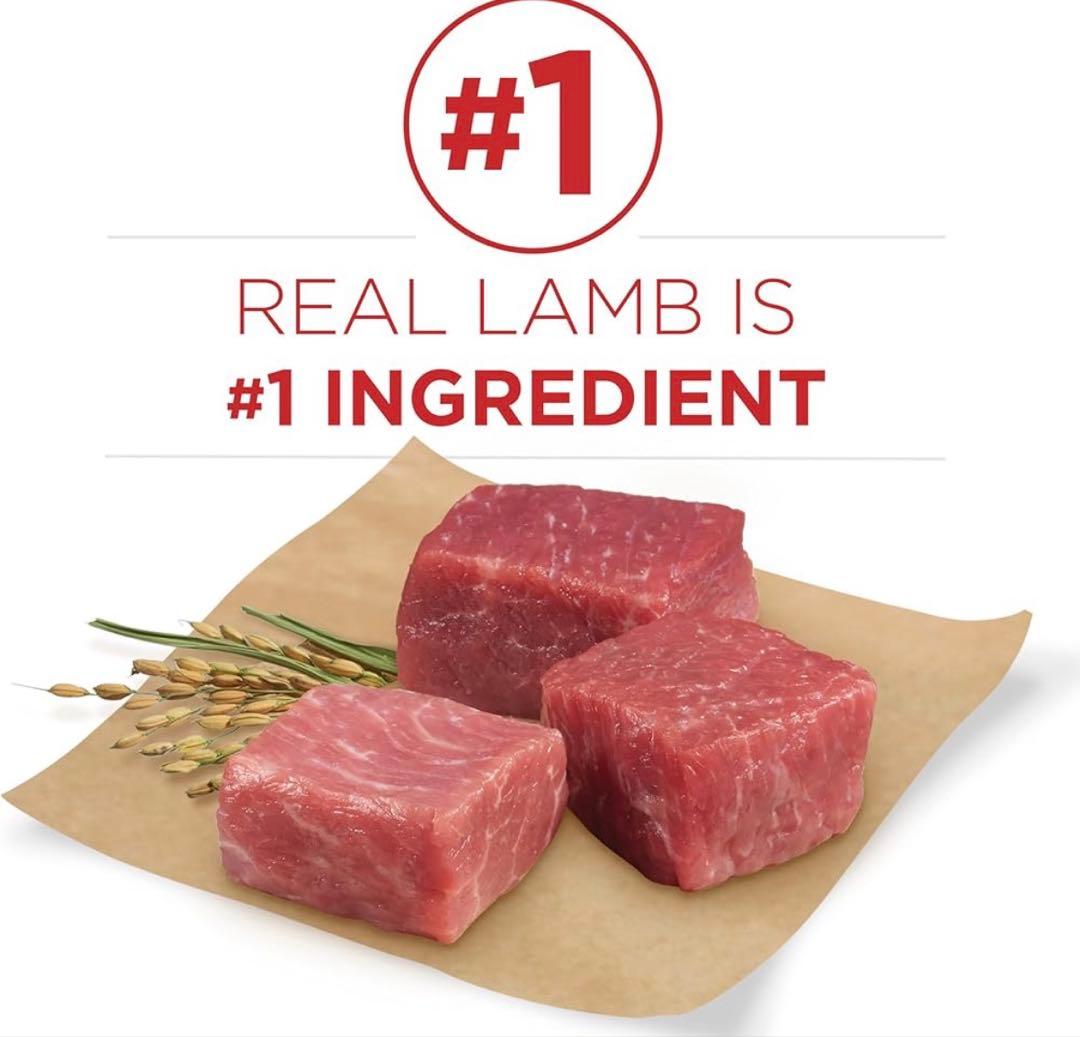 輸入ドッグフードPurina ONE Dry Dog Food ２袋