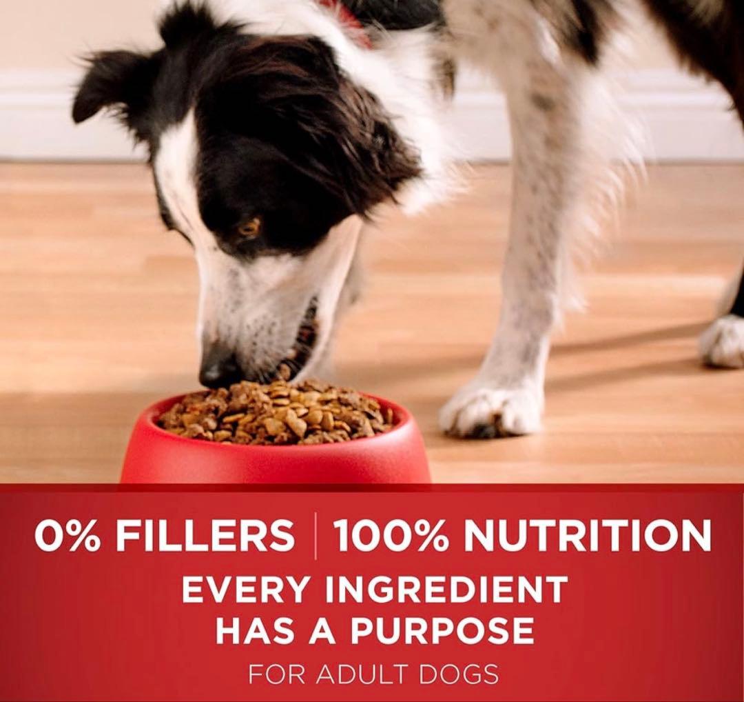 輸入ドッグフードPurina ONE Dry Dog Food ２袋