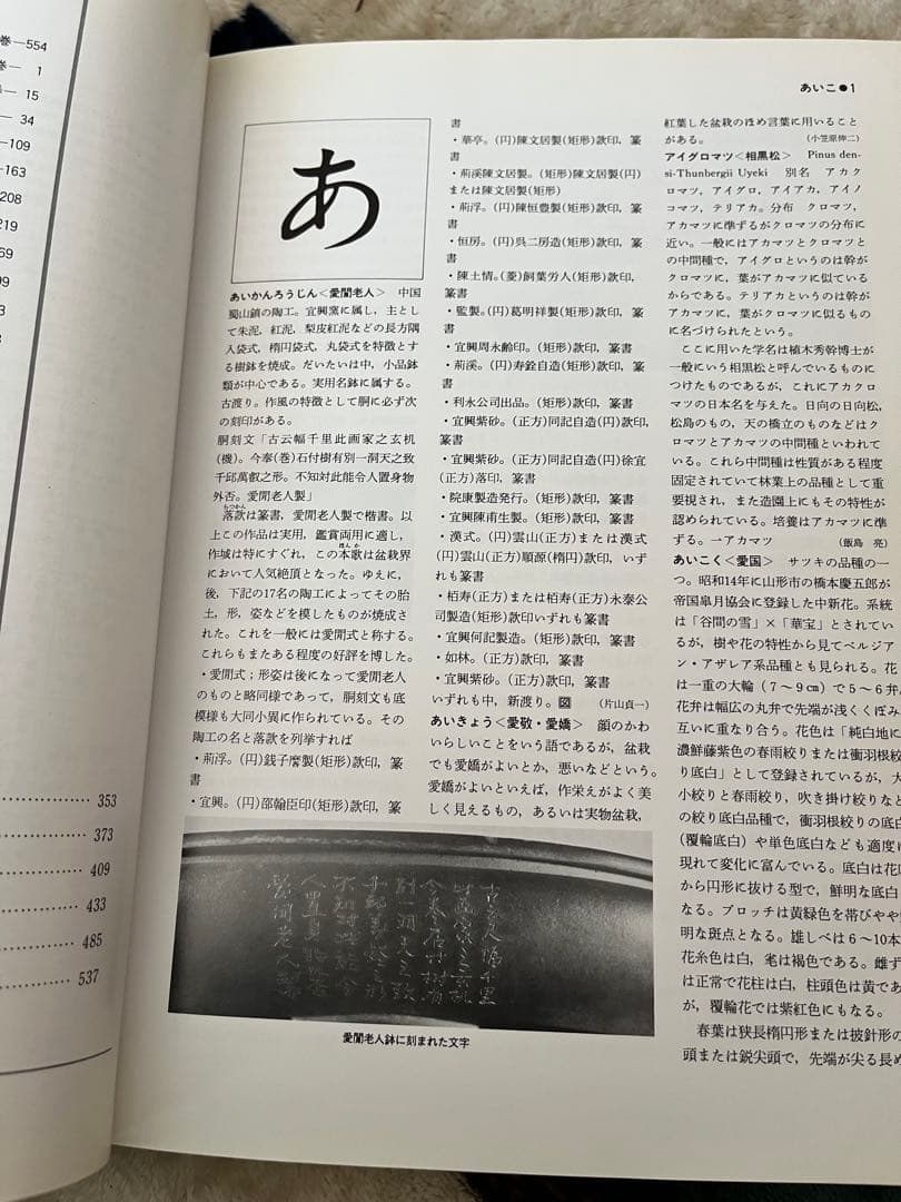 盆栽大事典 全3巻セット