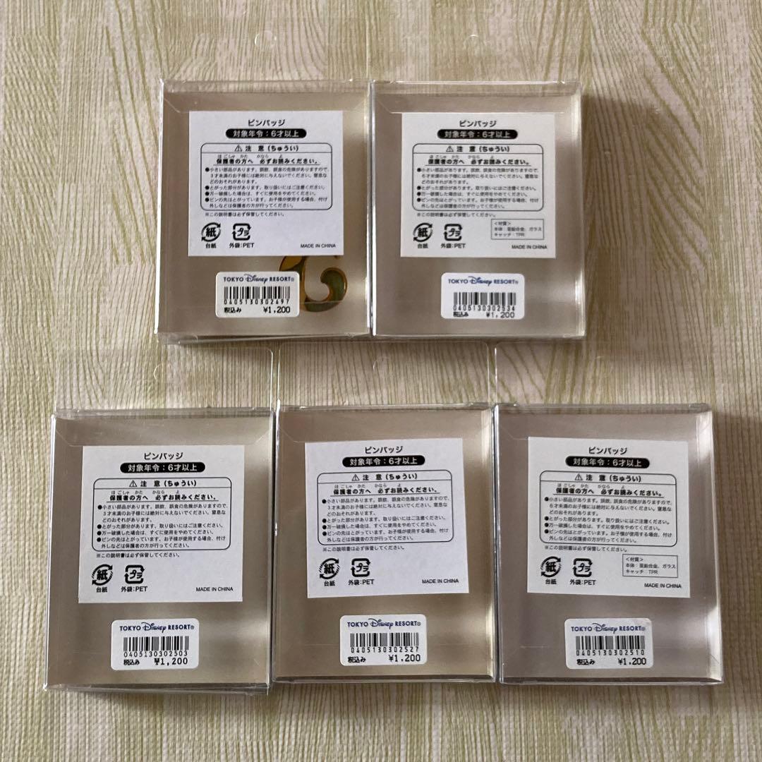 ディズニーシー　5周年　ピンバッジ コンブリセット　希少