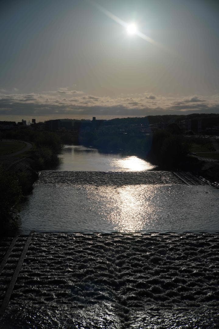 ニッコールＳＣ50ｍｍｆ1.4Ｌ