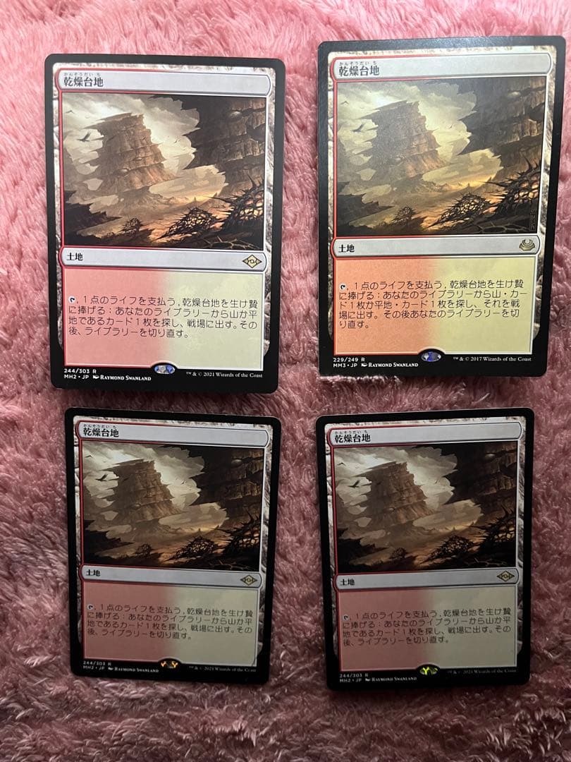 乾燥台地 4枚セット