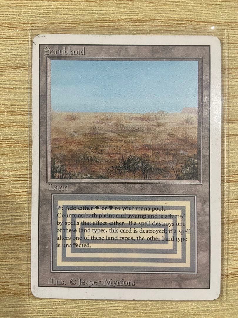 早いもの勝ち MTG Scrubland スクラブランド 3ED