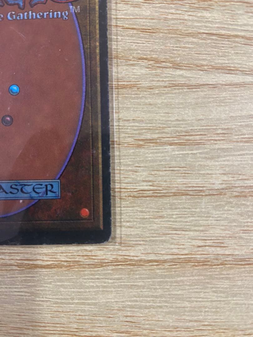 早いもの勝ち MTG Scrubland スクラブランド 3ED