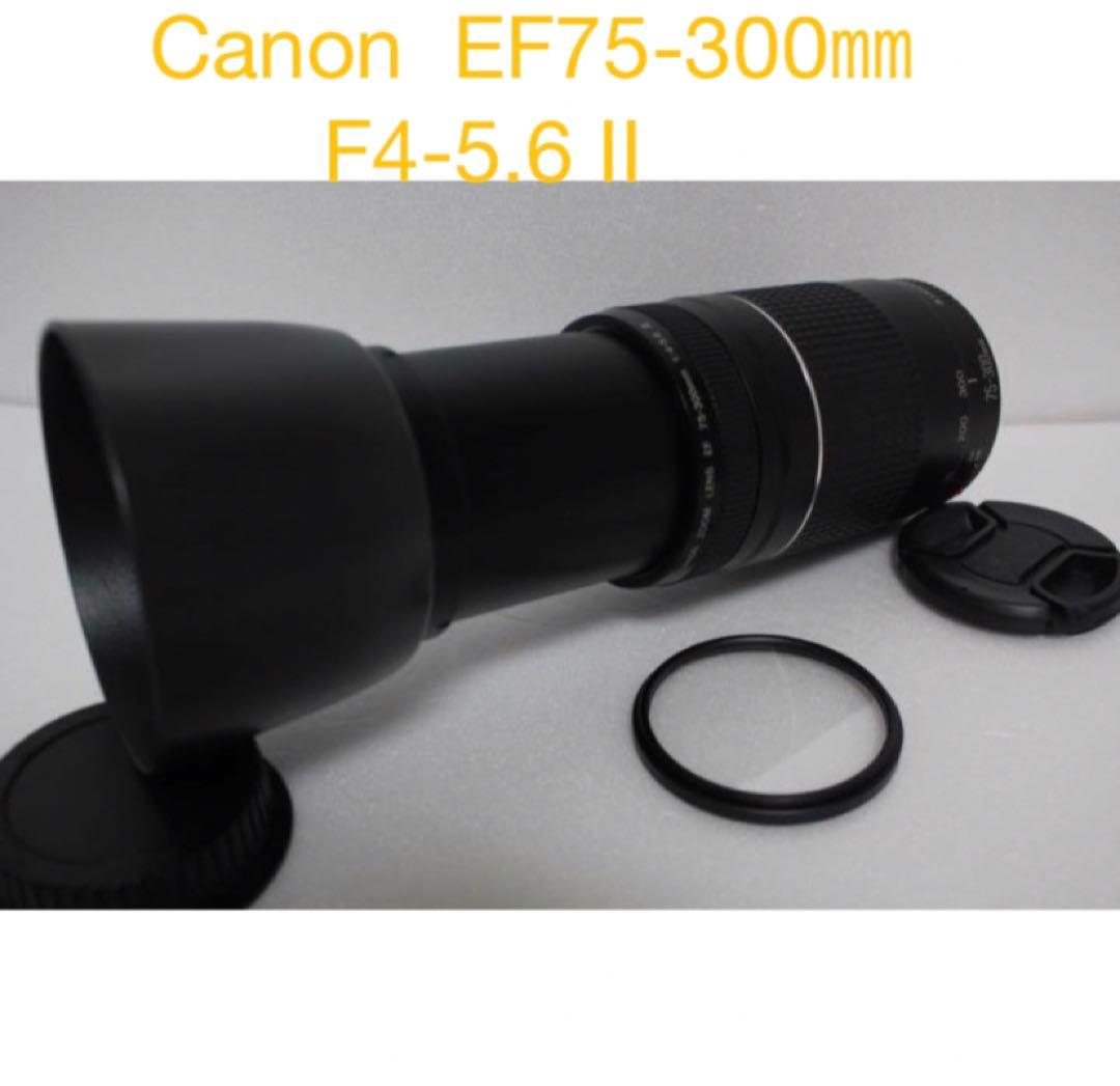 デジタル一眼レフカメラCanon EF75-300㎜F4-5.6 II