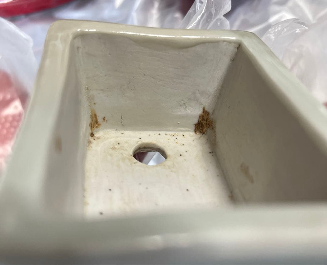 雄山　盆栽鉢　小品盆栽　ミニ盆栽　骨董品　レトロ