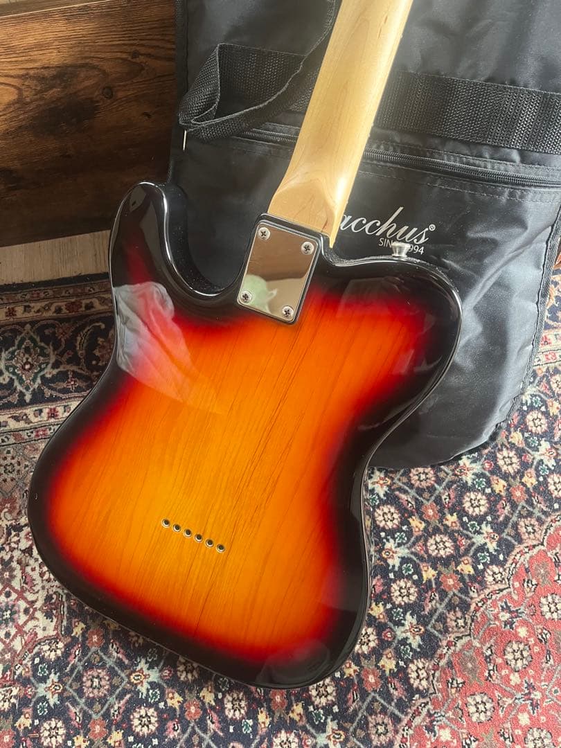 Bacchus BTE-1/R 3TS テレキャスター　ケース付き