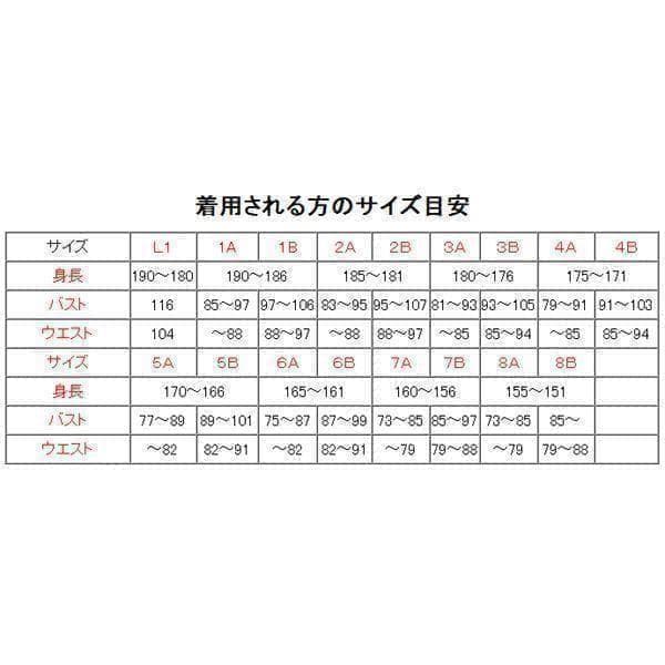 陸上自衛隊 リップストップ 迷彩服 ３B×２