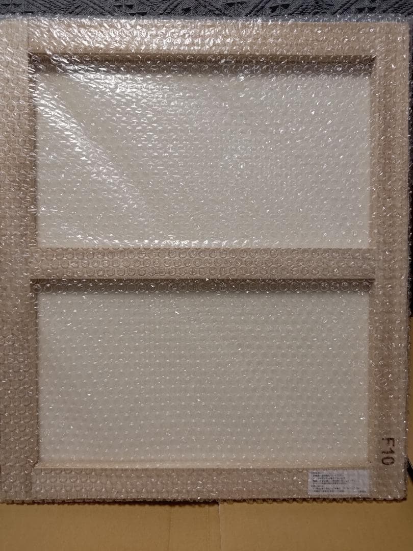 steins;gate　シュタインズ・ゲート　F10サイズ　デジタルキャンバス