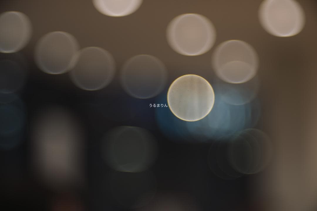 バブルボケの王様！TRIOPLAN 100mm F2.8 exe オールドレンズ