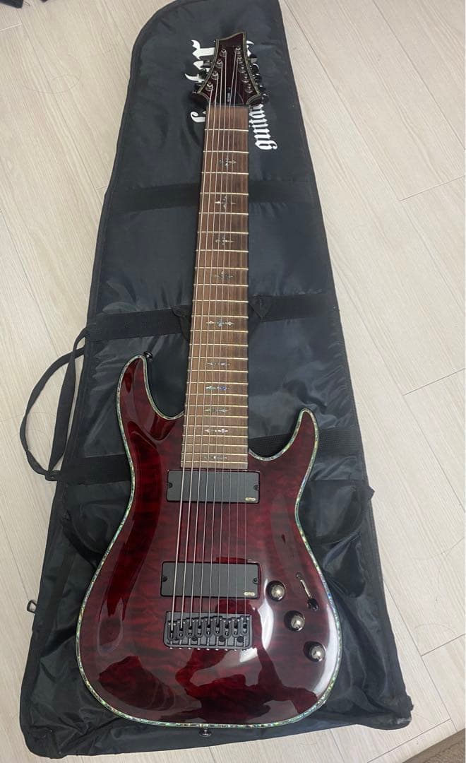 Schecter　HELLRAISER C-9 BCH