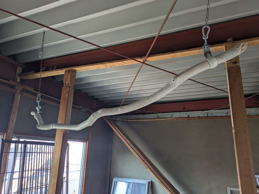 流木ハンガー 約150cm流木ディスプレイハンガー　ハンガーラック　店舗什器