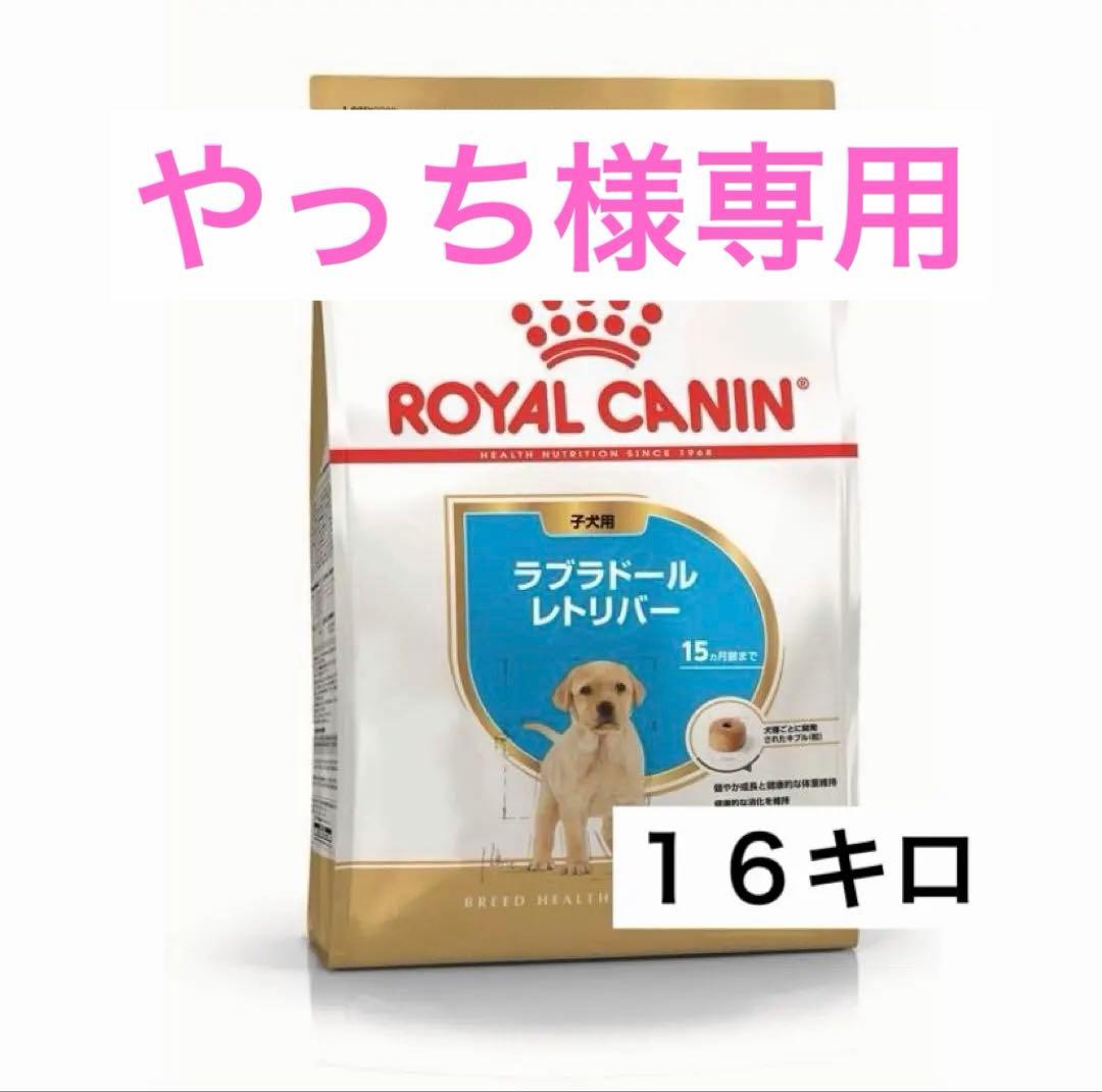 ロイヤルカナン ラブラドールレトリバー子犬用　１６キロ