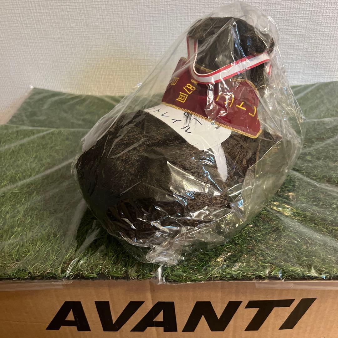 AVANTI社製 Sサイズ　ぬいぐるみ コントレイル 皐月賞 ダービー 菊花賞