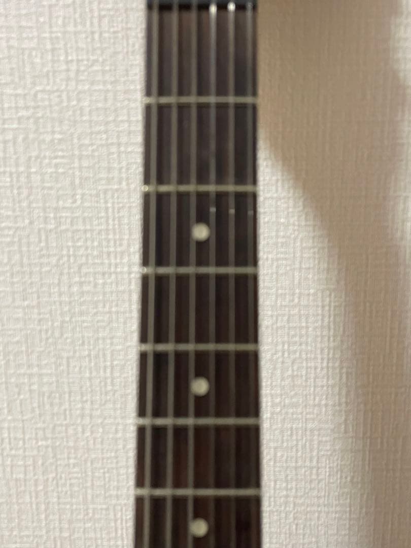 DEEN ダイムバックダレル　カモ　エレキギター