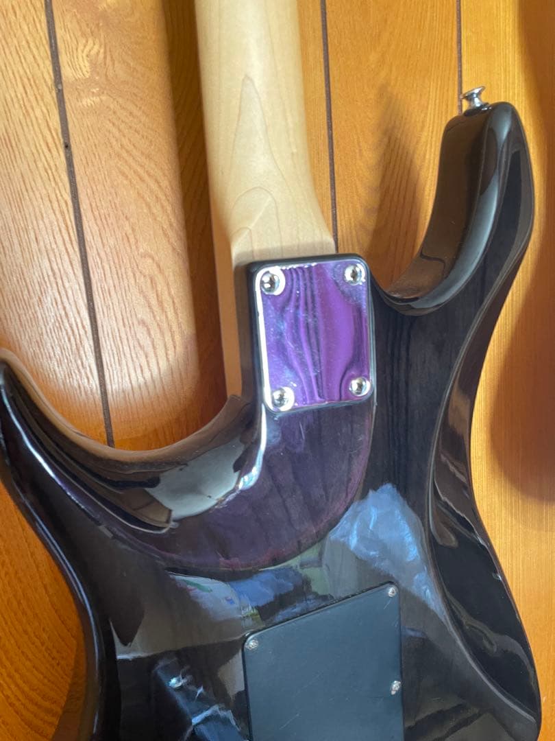 s*4様 deceiver(providece) Red house製エレキギタ