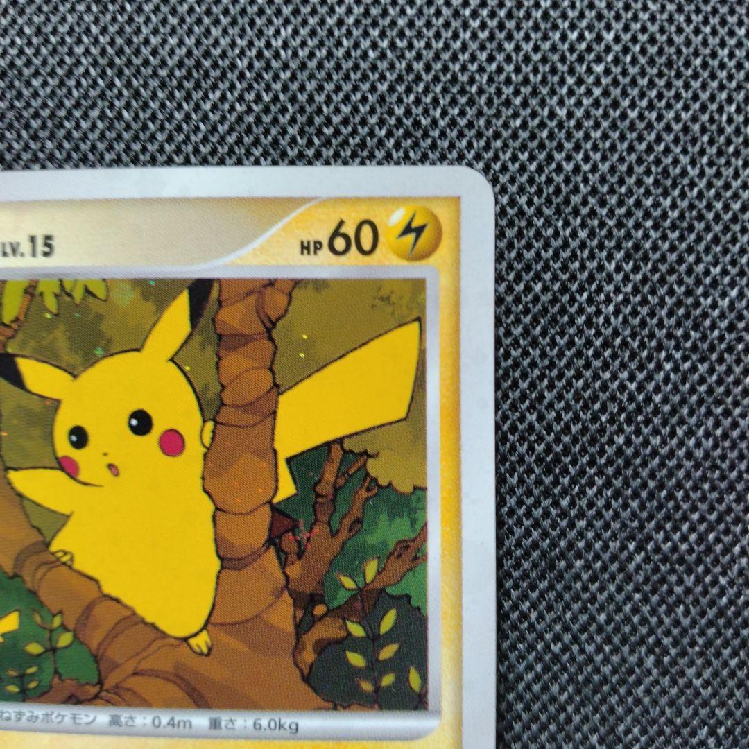 ポケモン ワンデイバトル プロモ バトルロード2007