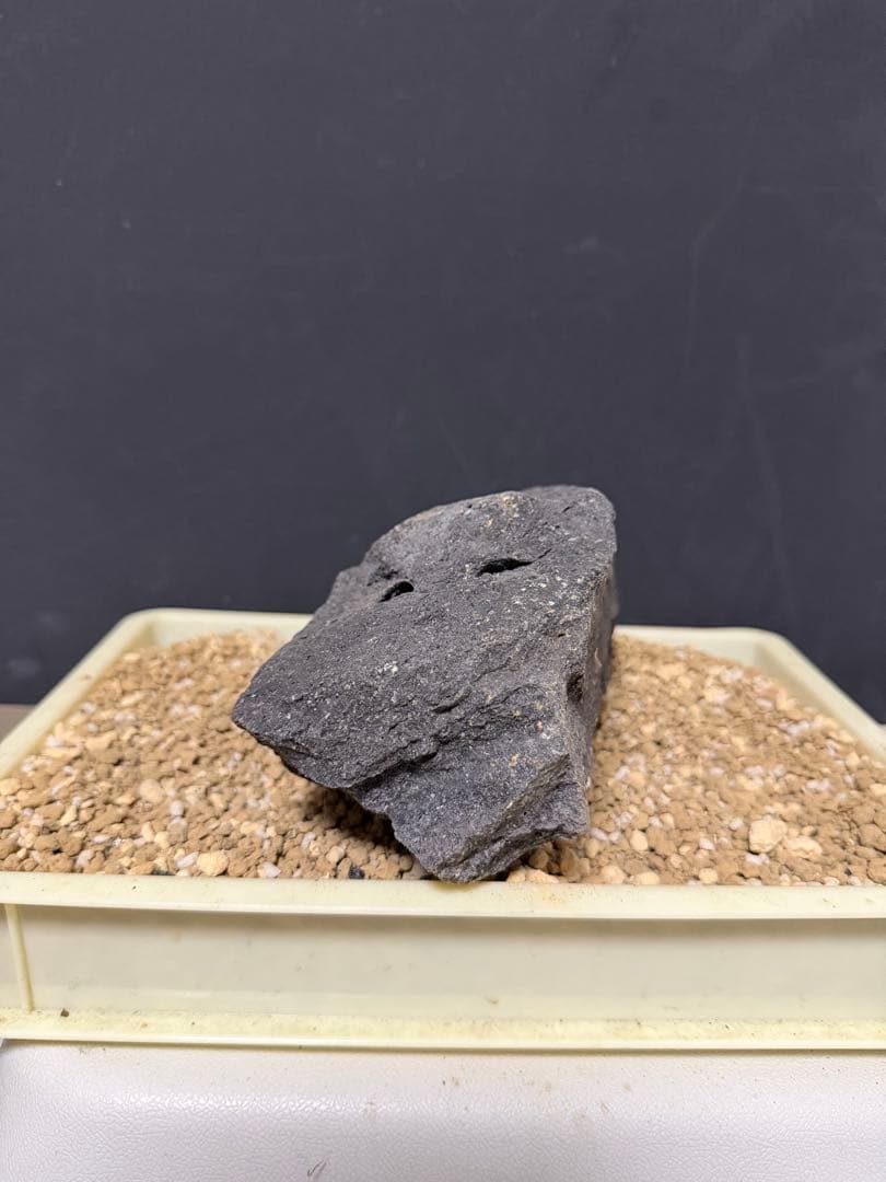 ⑦-7 ADA山水石 組み合わせ！これオススメ！