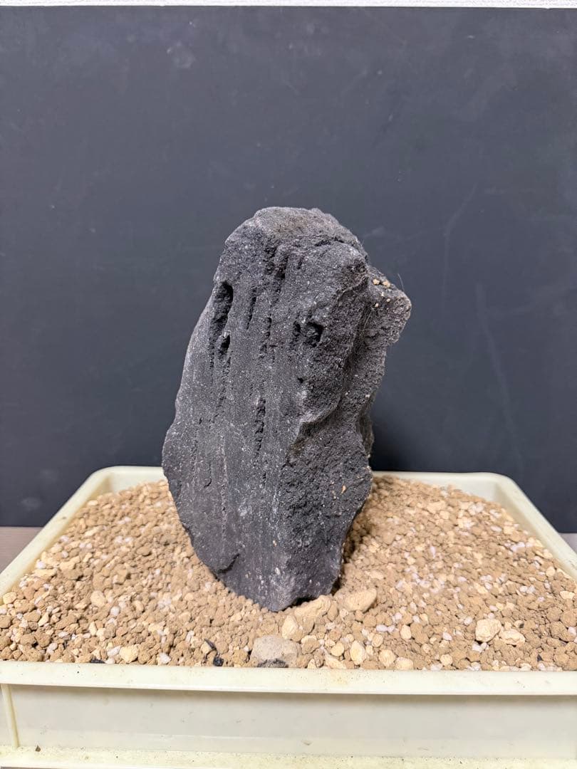 ⑦-7 ADA山水石 組み合わせ！これオススメ！