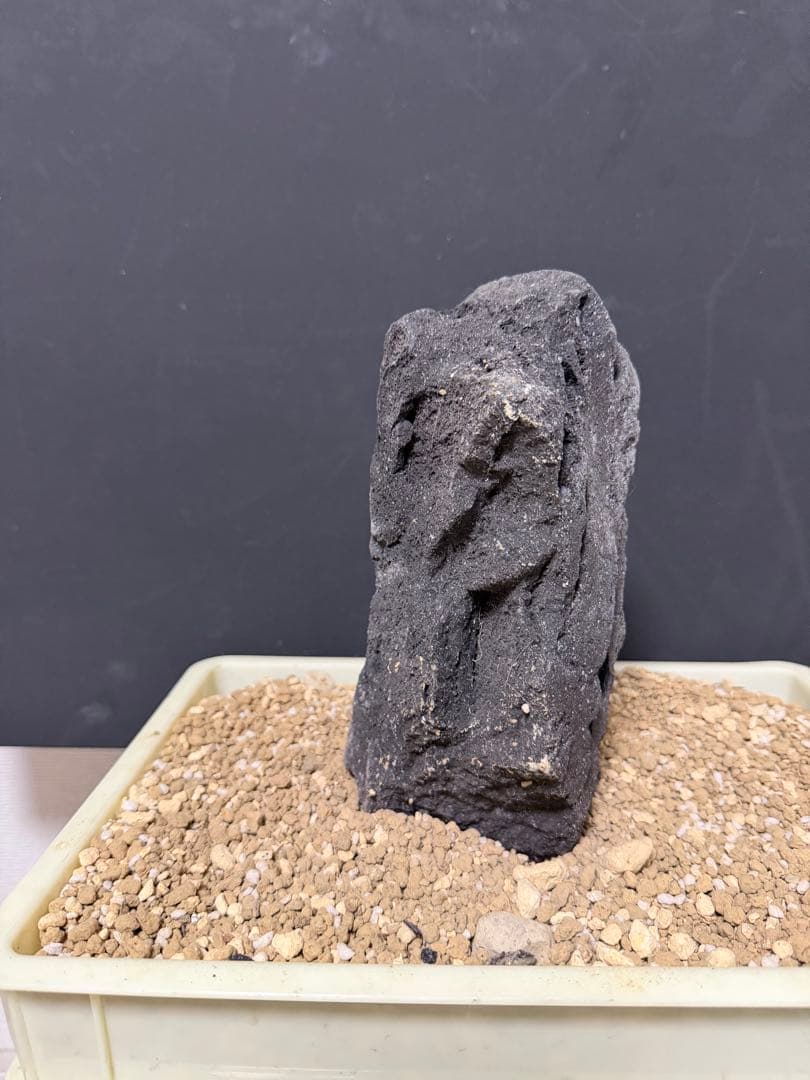 ⑦-7 ADA山水石 組み合わせ！これオススメ！