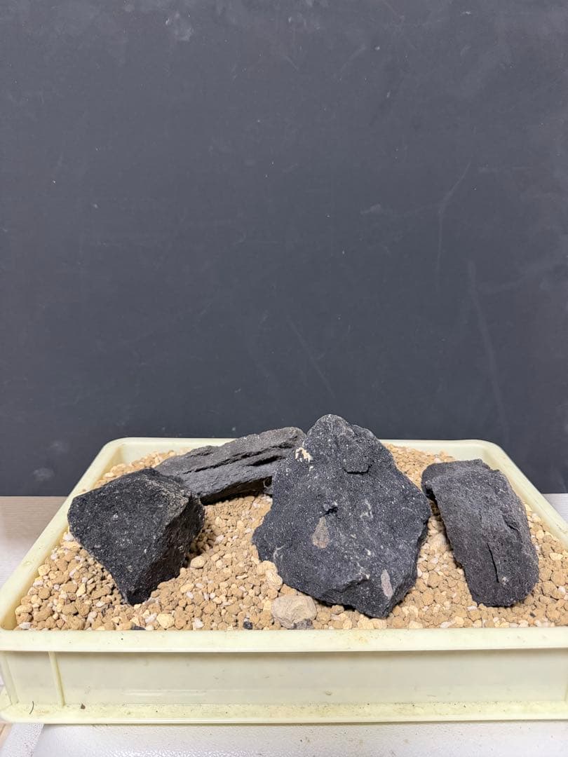 ⑦-7 ADA山水石 組み合わせ！これオススメ！