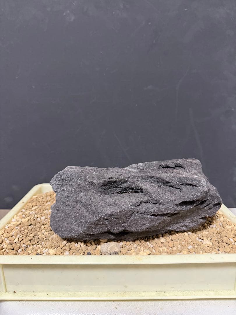 ⑦-7 ADA山水石 組み合わせ！これオススメ！