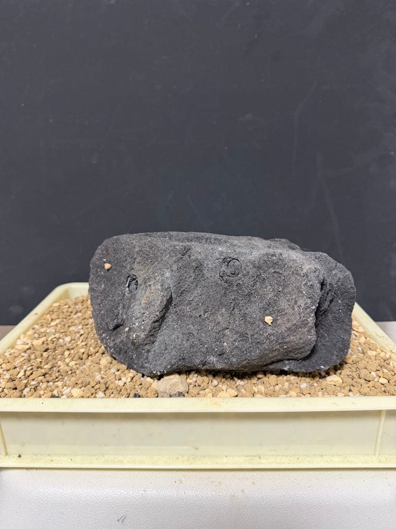 ⑦-7 ADA山水石 組み合わせ！これオススメ！