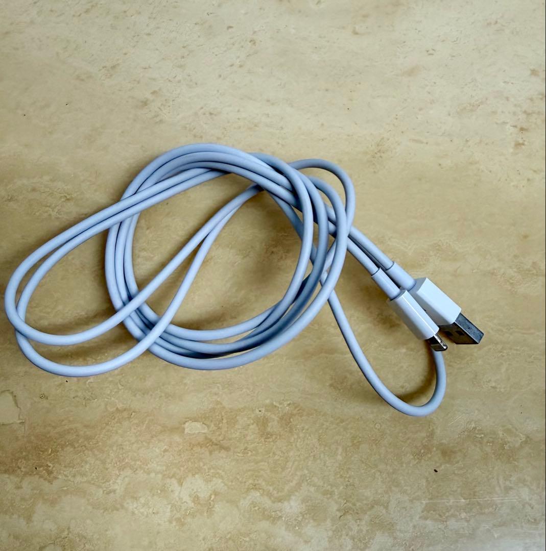 【美品】iPhoneSE 第3世代 64GB 付属品・おまけ有り