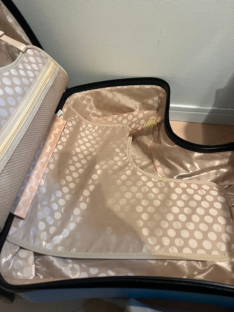 子供が乗れるキャリーケース　新品　未使用