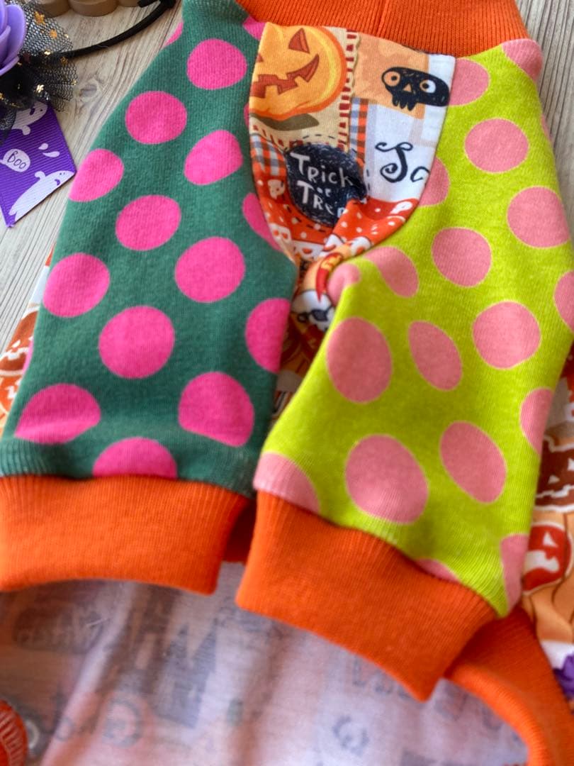 犬服  ラグラン(Ｓ)   ꒡̈⃝Lily꒡̈⃝ハンドメイド