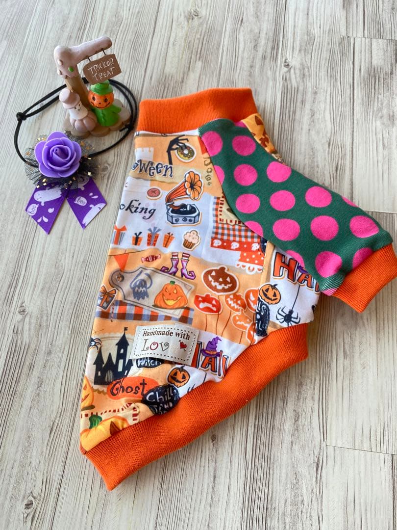 犬服  ラグラン(Ｓ)   ꒡̈⃝Lily꒡̈⃝ハンドメイド