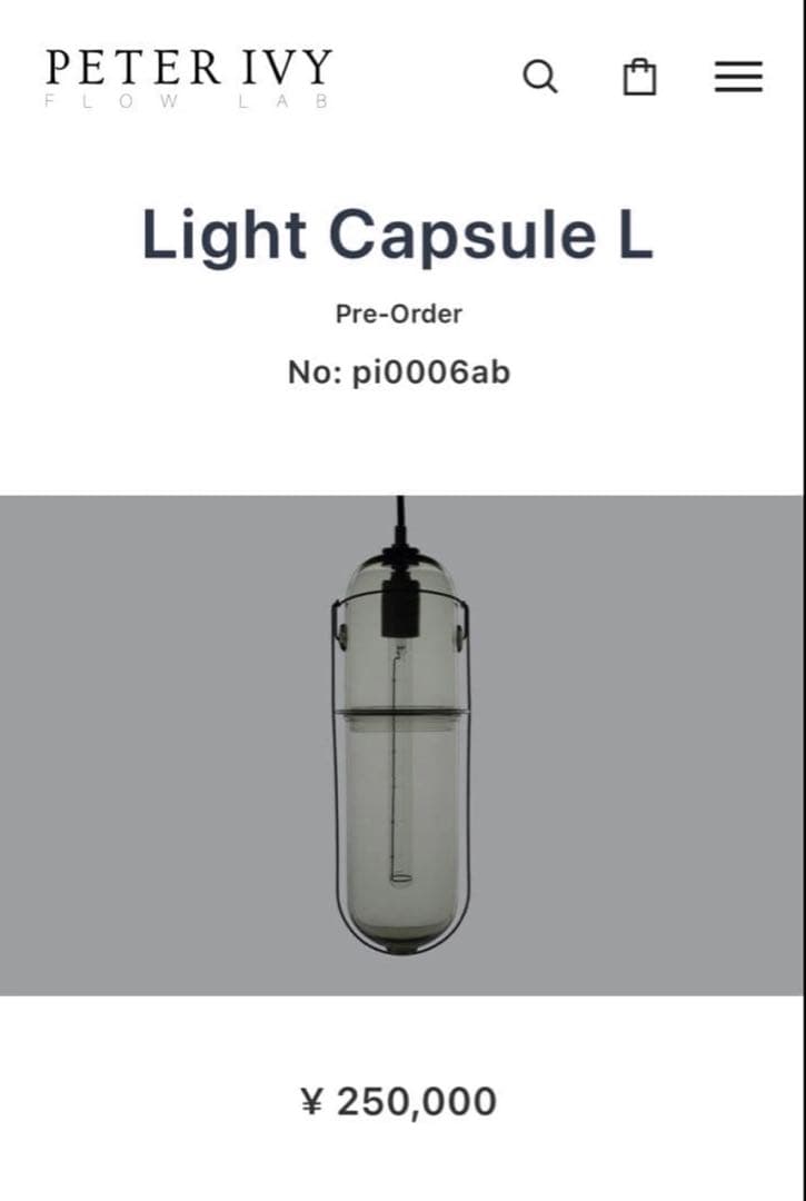 ピーター・アイビー　ライトカプセル　L クリアガラス ペンダントライト