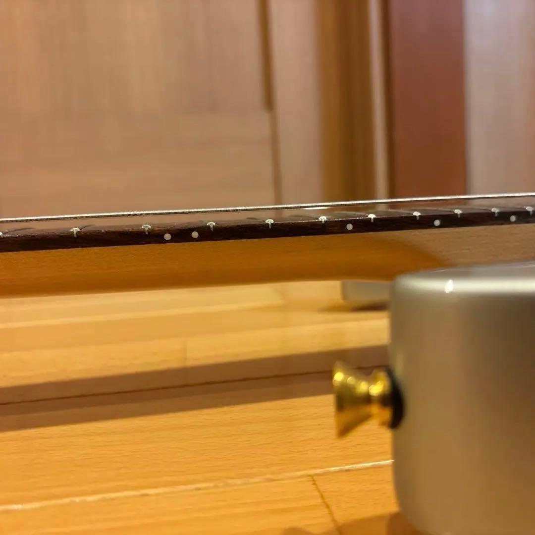 【たっちです】FERNANDES ゴールドパーツ仕様 トレモロアーム付