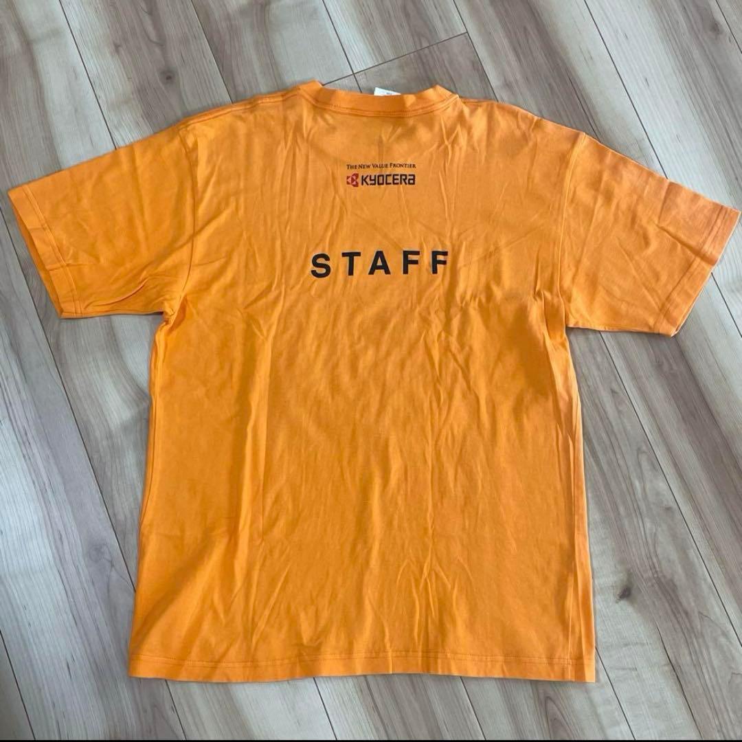 長渕剛 スタッフTシャツ 5枚セット 非売品 長渕 STAFF ジャンパー