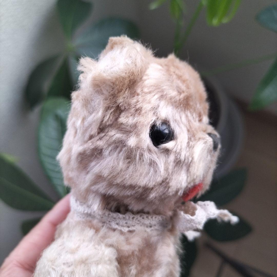 ビンテージ　テディベア　Dakin ポーリッシュベア　ベージュ