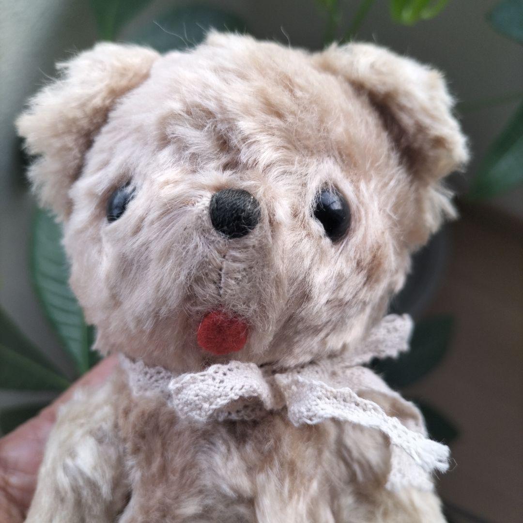 ビンテージ　テディベア　Dakin ポーリッシュベア　ベージュ