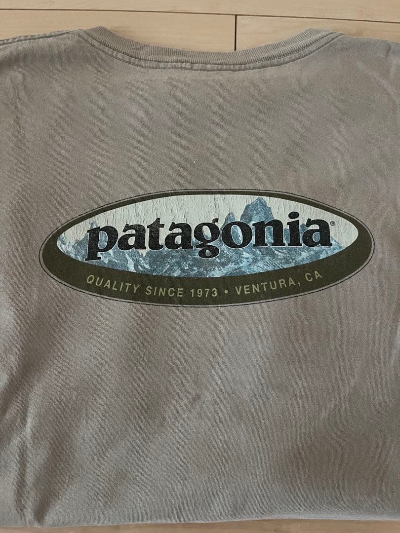 patagonia パタゴニア べネフィシャル Tシャツ ベージュ サイズL