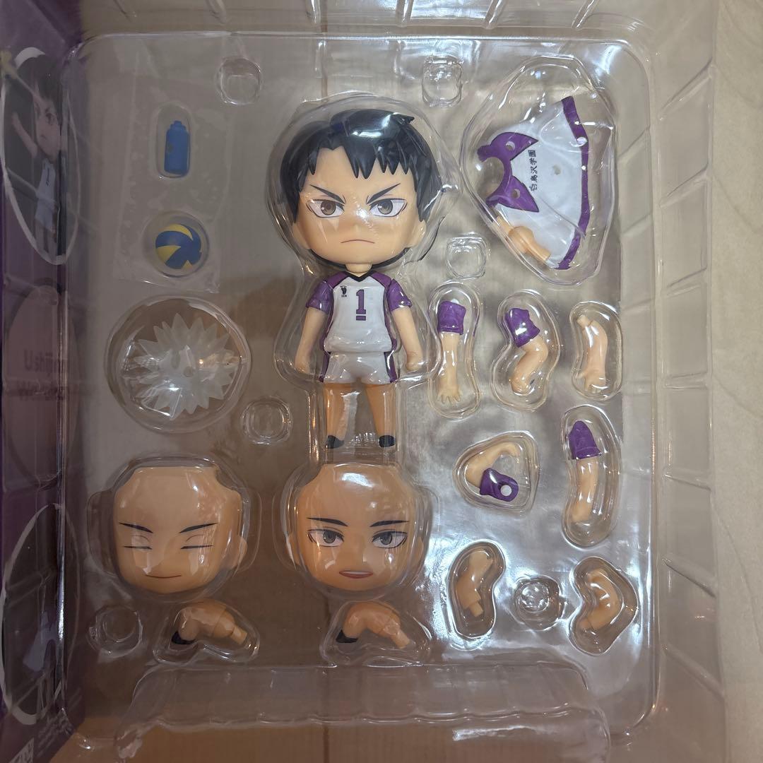 ハイキュー牛島若利 ねんどろいど789