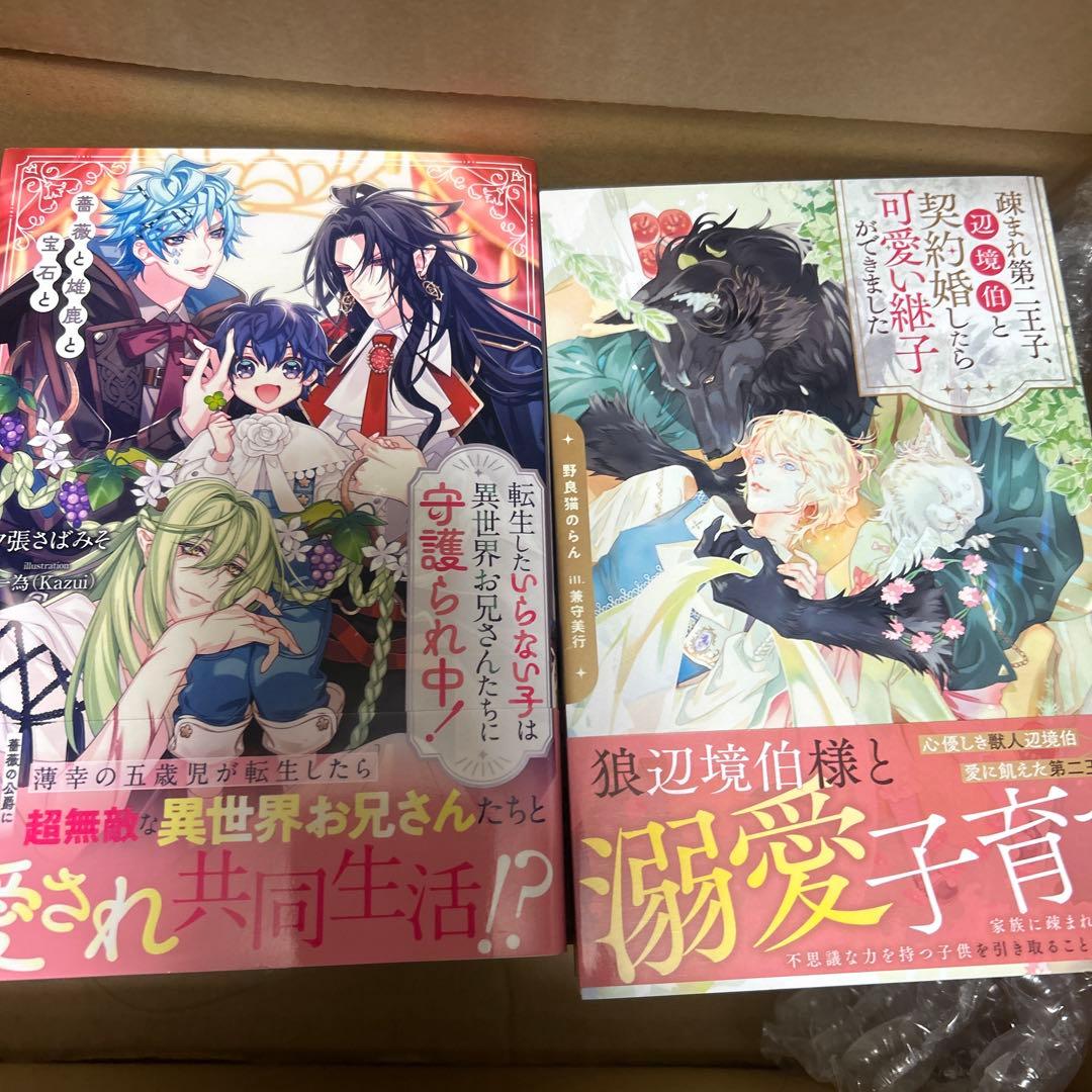 bl小説大判サイズ纏め売りセット　アンダルシュノベルズ他