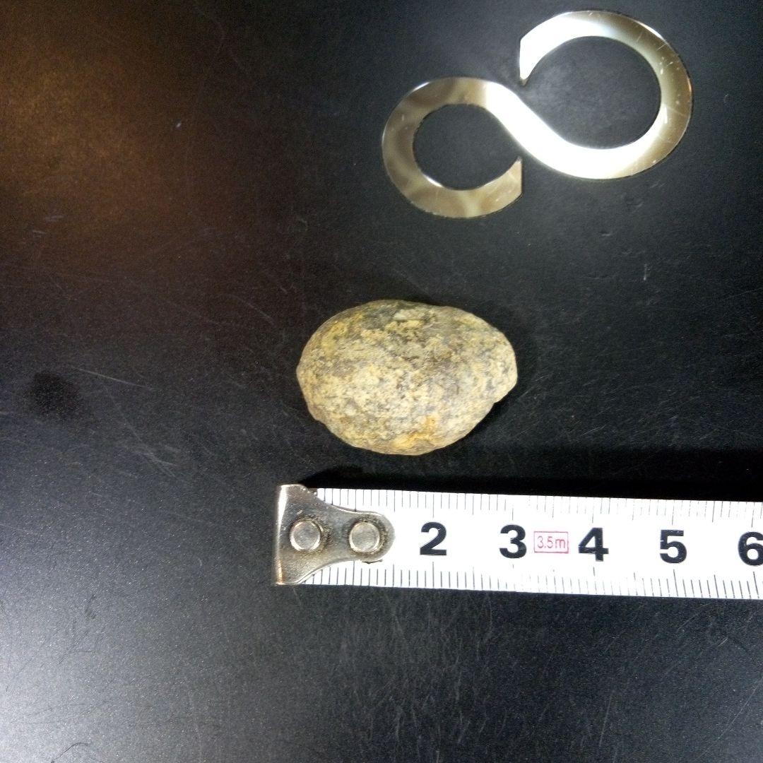 三葉虫　化石　fossil　海　ボリビア産　trilobite　海生動物種別⑩