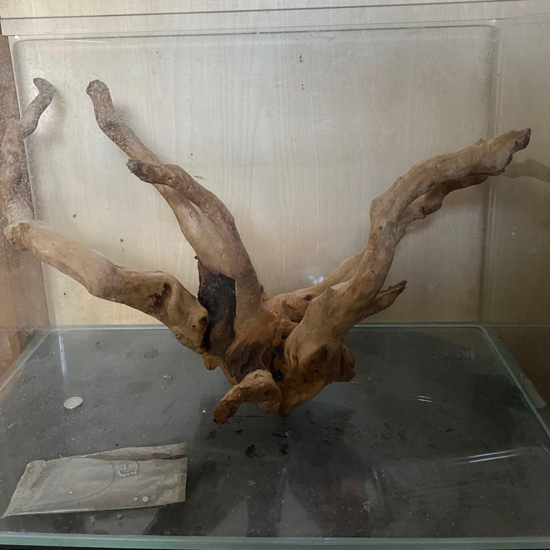 水槽用流木 大きめ 自然な枝状