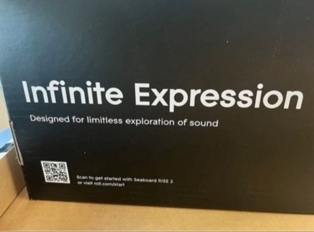 【超希少／今だけ値下げ中】日本では未販売のSeaboard Rise 2！！！