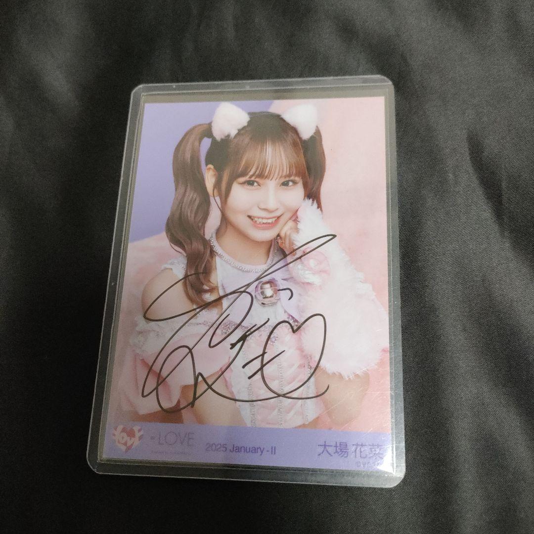 イコラブ 大場花菜 猫 直筆 生写真