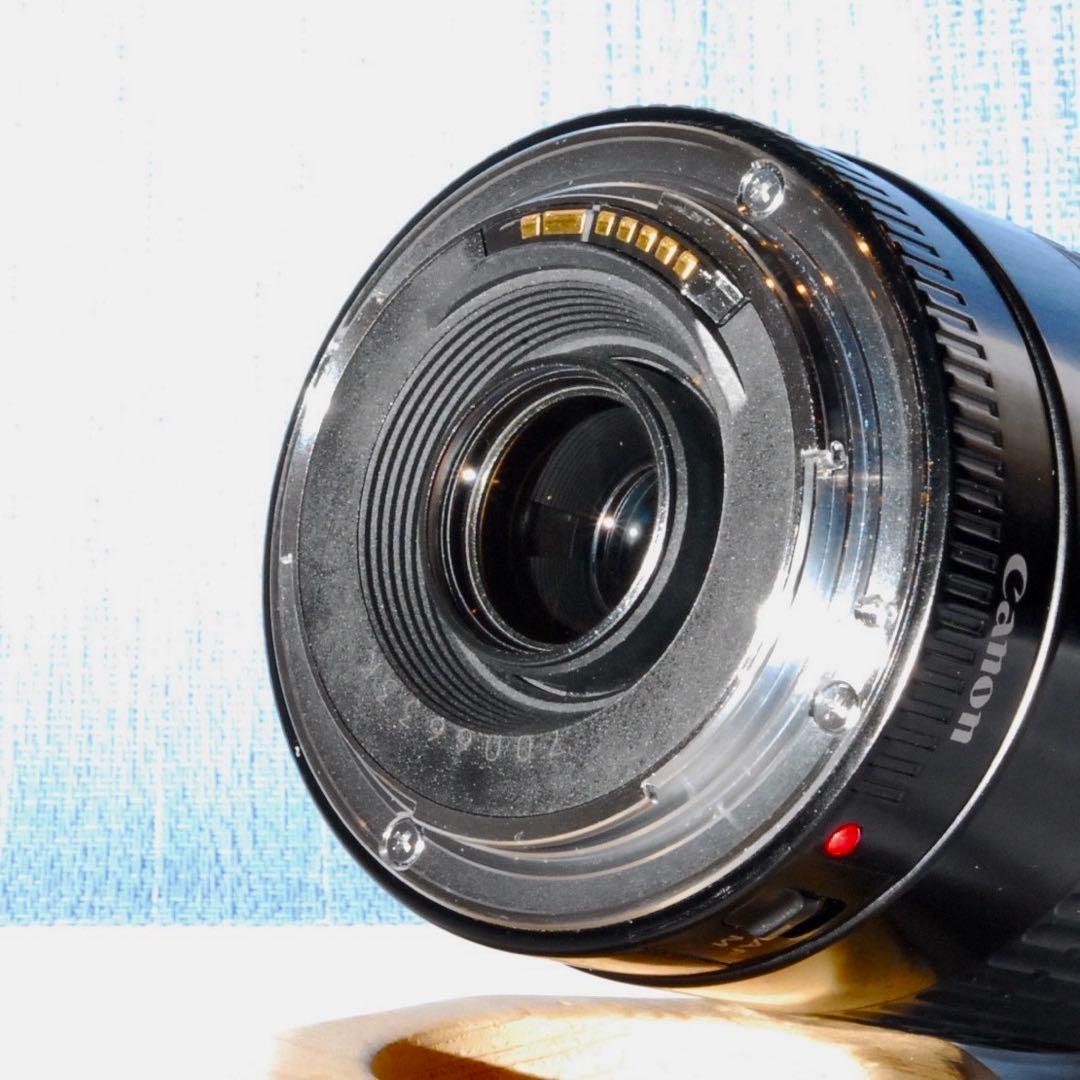 ✨大人気！超望遠✨Canon EF75-300mm USM✨フルサイズ✨