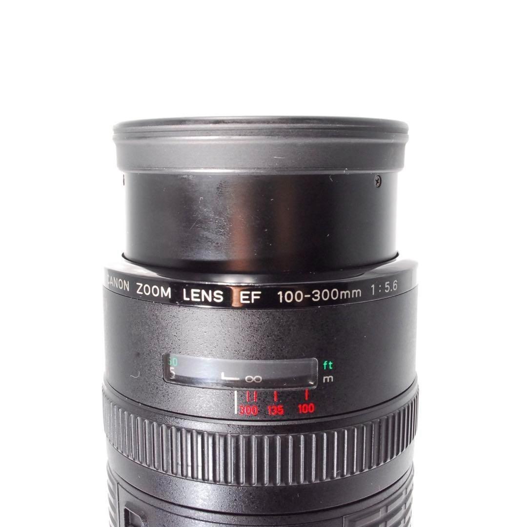 遠くの風景も人物もOK✨Canon EF 100-300✨超望遠レンズ✨キヤノン