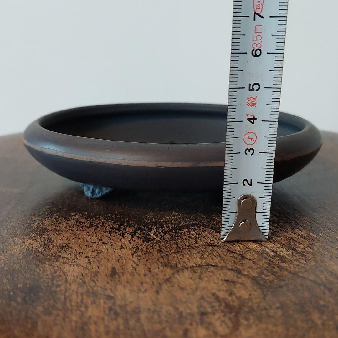 盆栽鉢　美芸　常滑焼