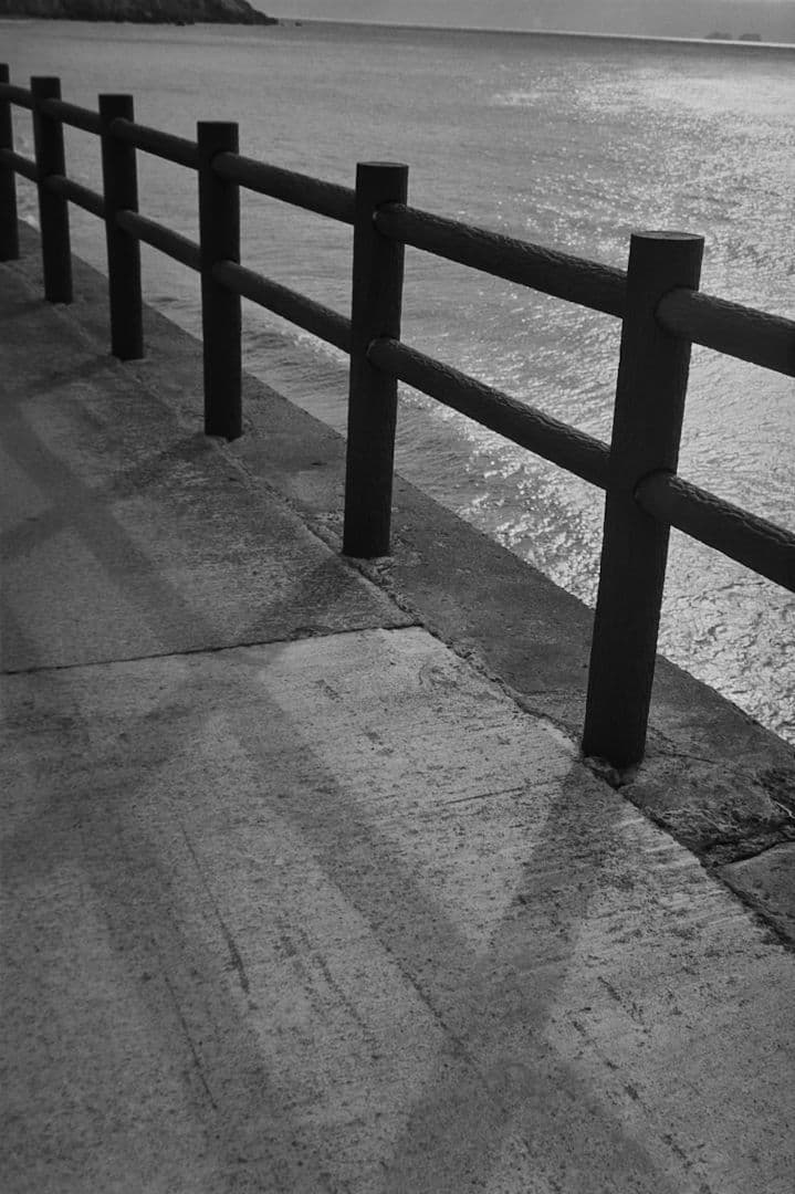 Rollei 35S 実写例あり