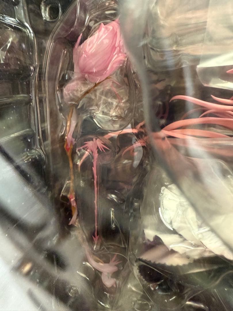 魔法少女まどかマギカ　Ultimate Madoka 1/8スケールフィギュア