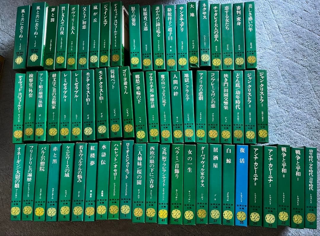 リキサク様限定　集英社　世界文学全集　 63冊+風と共に去りぬ上下巻　付き